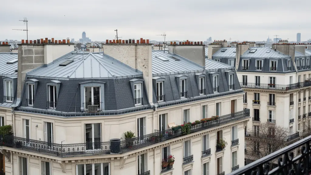 Vue panoramique sur les toits en zinc parisiens et immeubles haussmanniens au petit matin